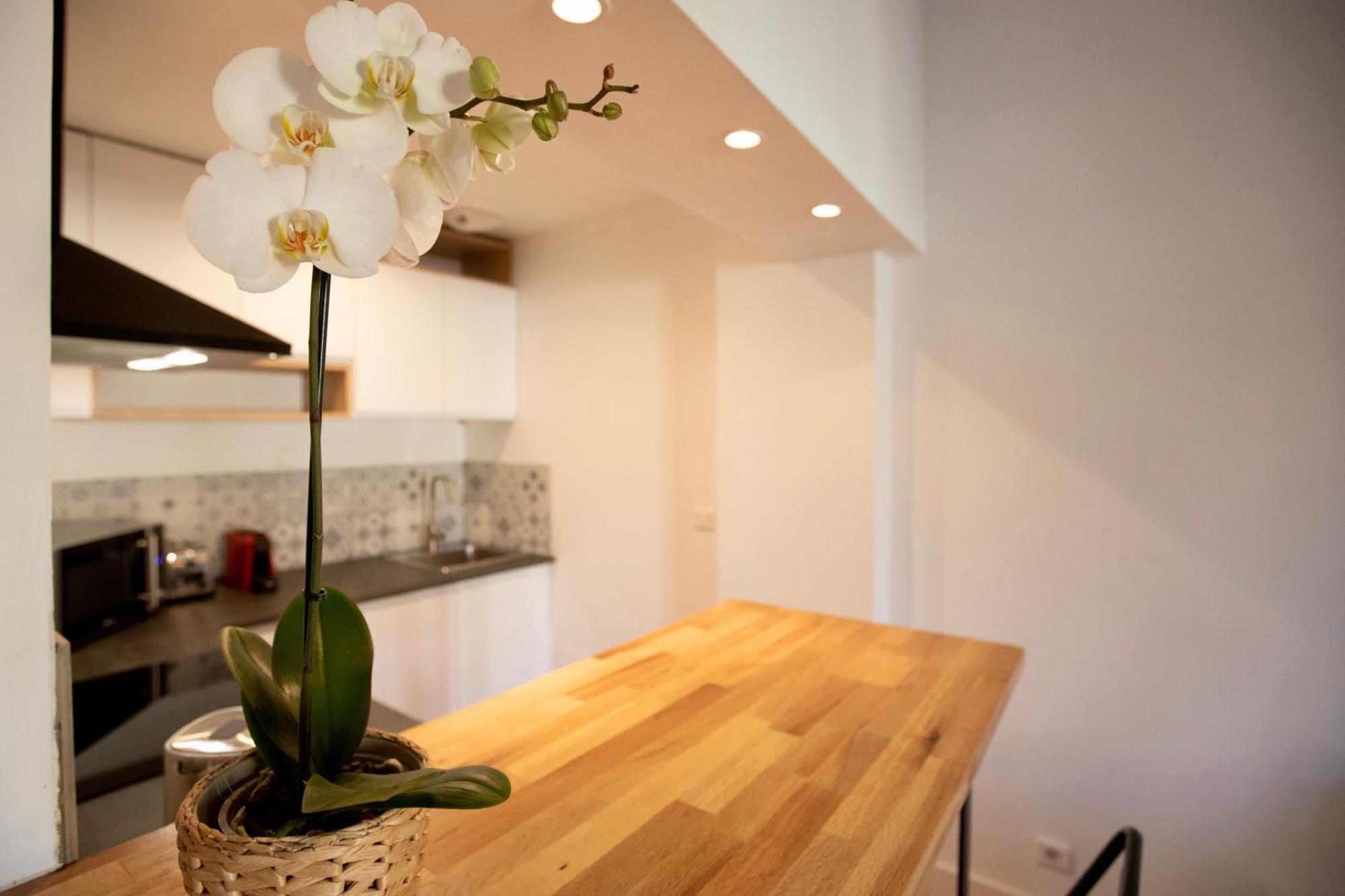 Home Chic Home - Les Toits De Sainte-Ursule Montpellier Bagian luar foto